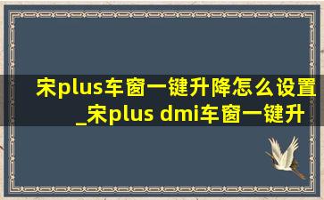 宋plus车窗一键升降怎么设置_宋plus dmi车窗一键升降